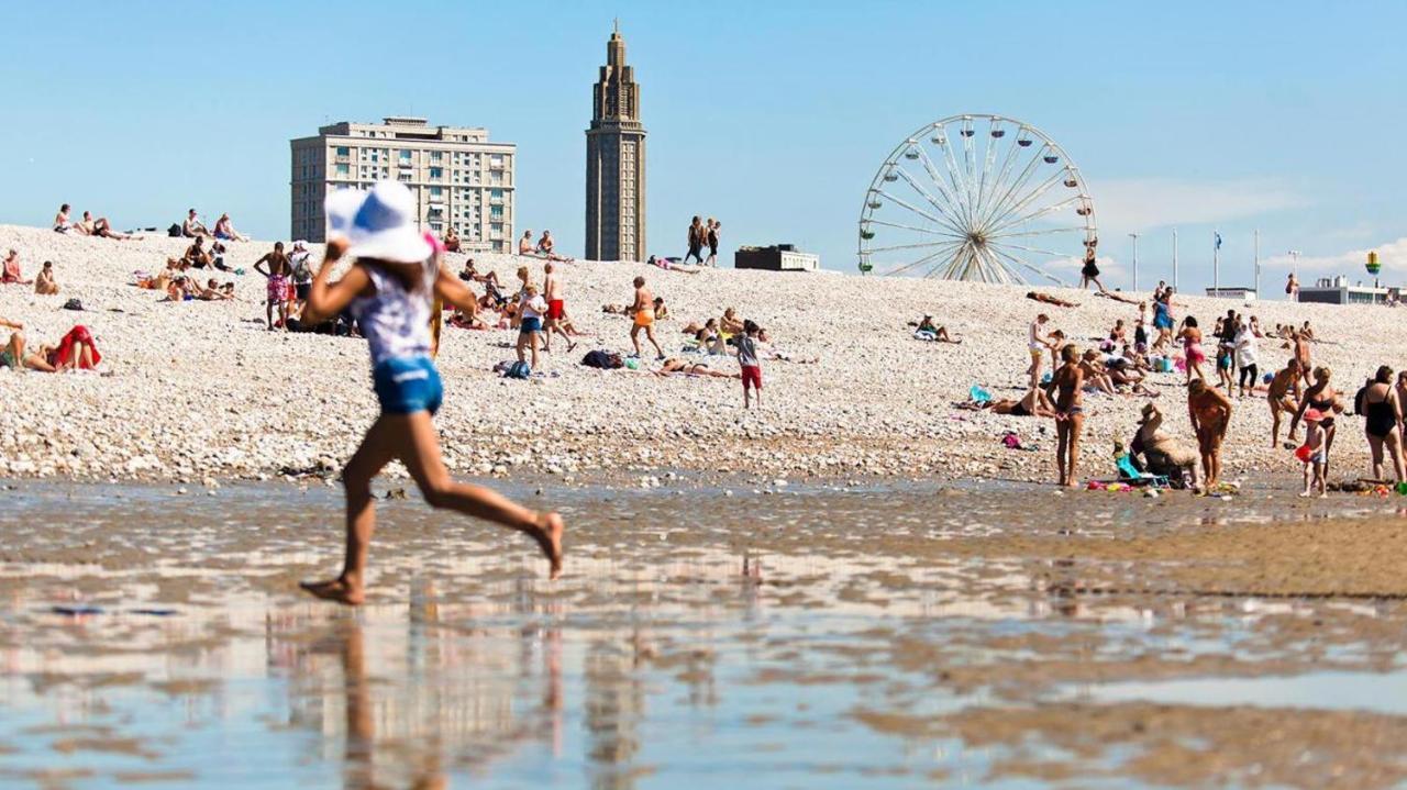 Le Petit Nid Perche Sous Les Toits, Vue Mer لو هافر المظهر الخارجي الصورة